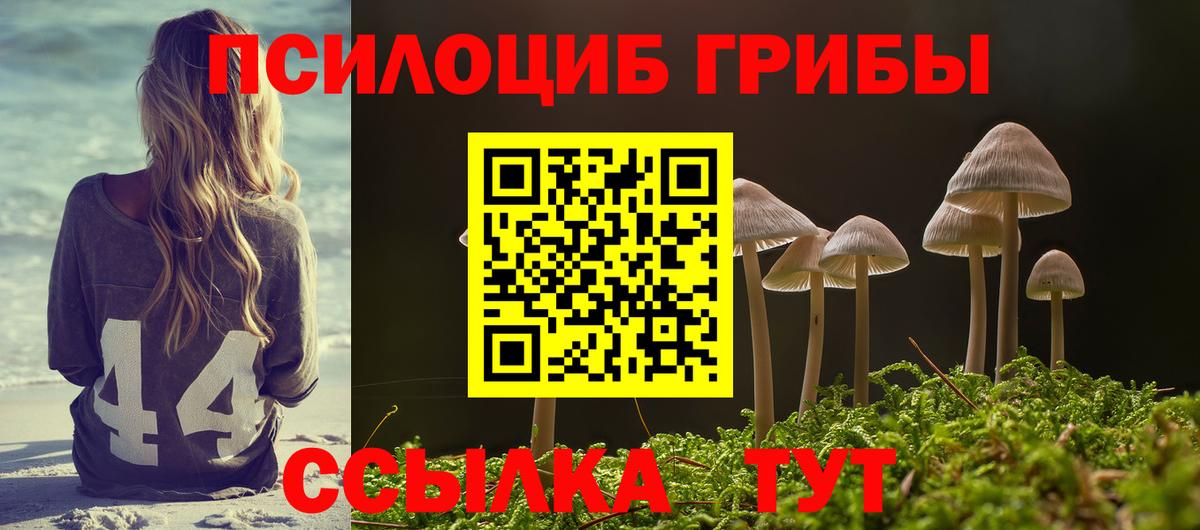 Псилоцибиновые грибы Psilocybine cubensis  Вход с VPN  Ростов Великий 