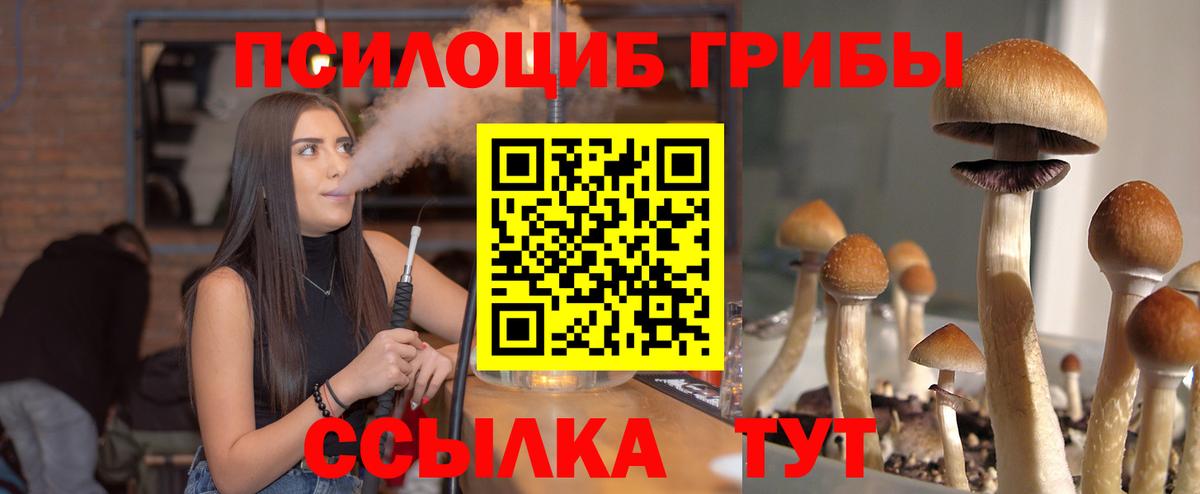 Галлюциногенные грибы Psilocybe Ростов Великий